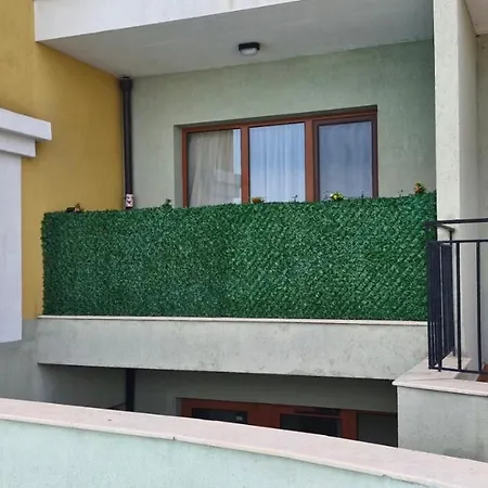 D3 -sozopol